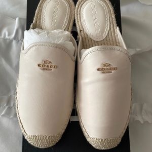 COPY - Coach slides